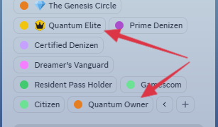 Discord - Required Roles